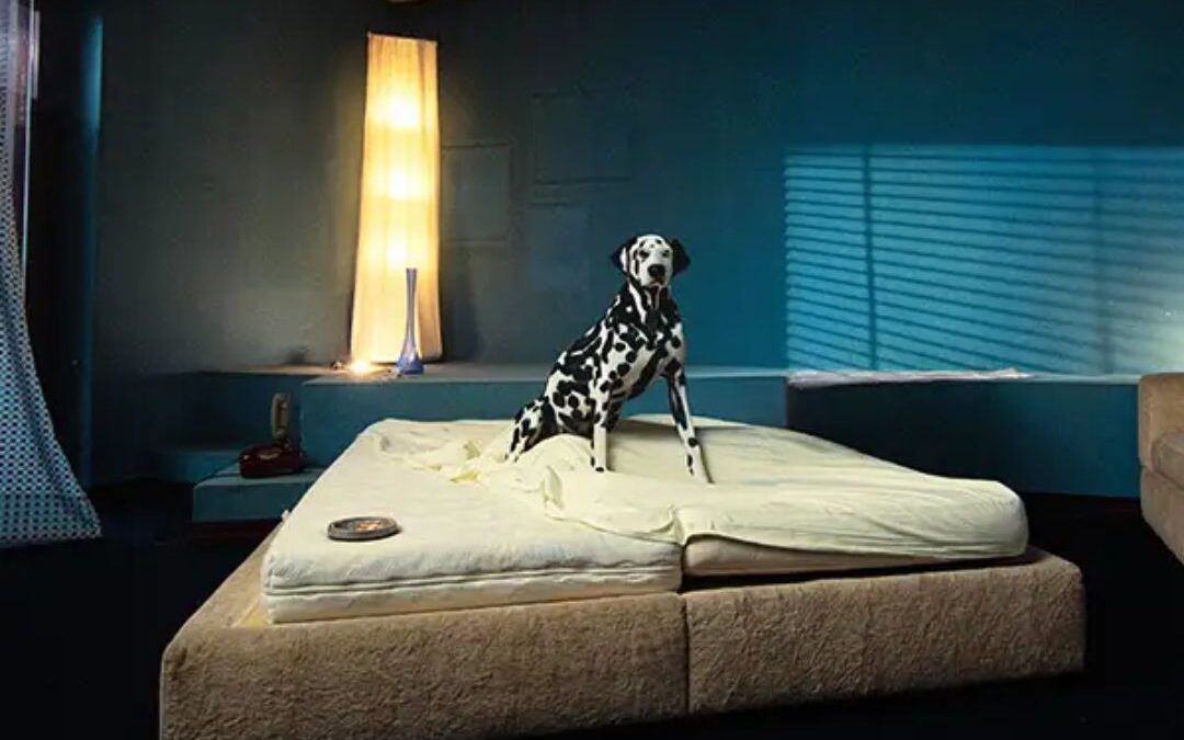 “Devastante” è il nuovo singolo di Olly